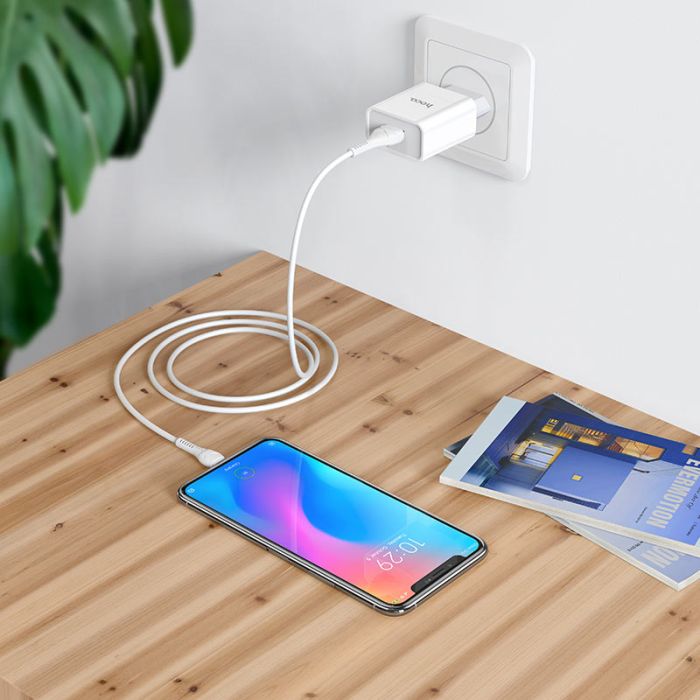 Сетевое зарядное устройство Hoco C81A 1 USB 2.1A Micro белое