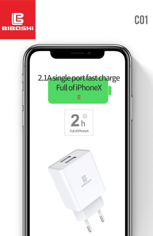 Мережевий зарядний пристрій Biboshi C01 2 USB 2.1A + кабель Micro-USB white