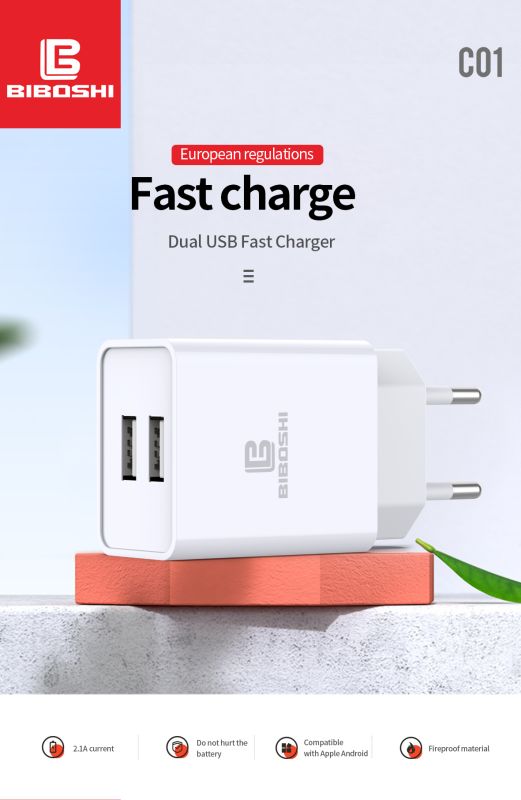 Мережевий зарядний пристрій Biboshi C01 2 USB 2.1A + кабель Type-C white