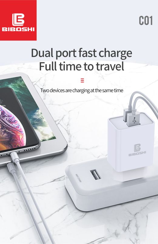 Мережевий зарядний пристрій Biboshi C01 2 USB 2.1A + кабель Type-C white