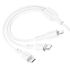 USB кабель Borofone BX66 3 в 1 Lightning/ Micro-USB/ Type-C 2A 1m білий