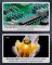 Микроскоп цифровой портативный лупа PM-370 / 500х / 2Мп / подсветка / Type-C / Черный